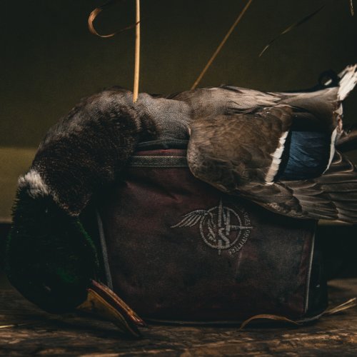 Photo post from northernskiesoutfitters.