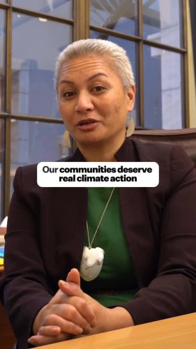 Video post from nzgreenparty.