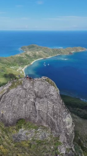 Video post from octopusresort.