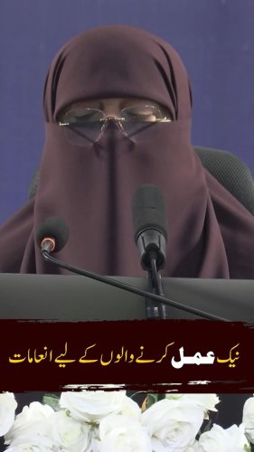 Video post from nighathashmi.
