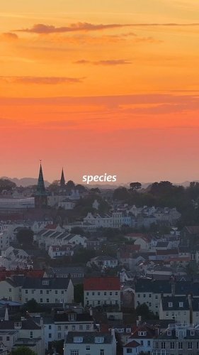 Video post from lasocieteg.
