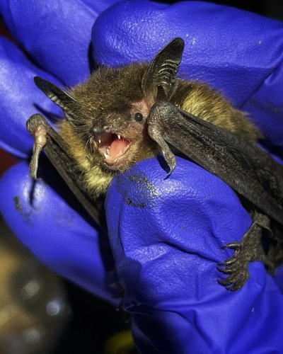 Carousel post from biodiversityresearchinstitute.