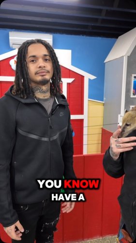 Video post from njexoticpets.