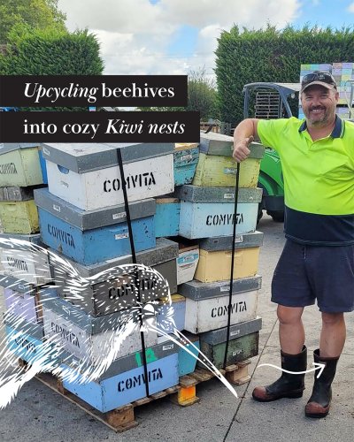 Carousel post from comvita_nz.