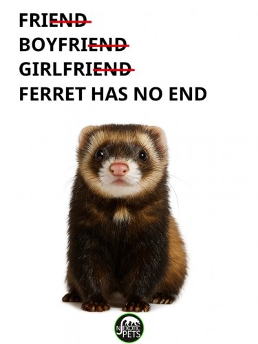 Photo post from njexoticpets.