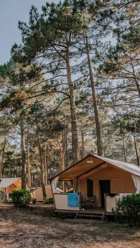 Video post from glampings.