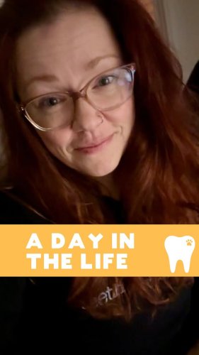 Video post from toothy.thomson.