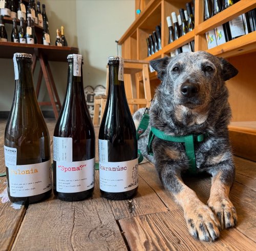 Photo post from dandywineshop.