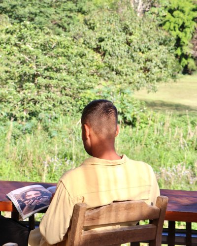 Photo post from currumbinvalleyharvest.