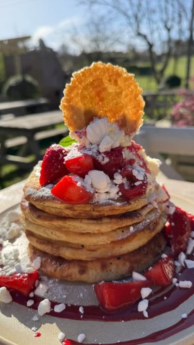 Video post from toast_flyford.