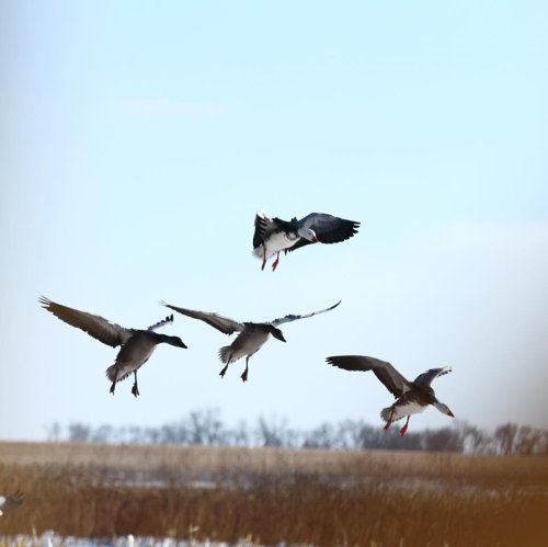 Photo post from northernskiesoutfitters.