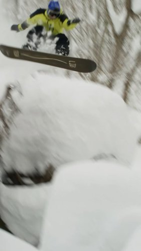 Video post from libtechnologies.