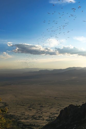 Photo post from copubliclands.