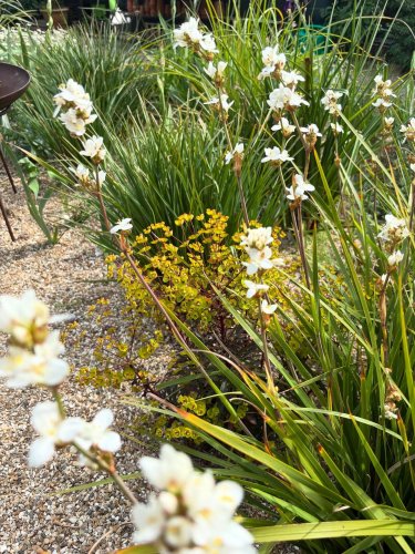 Photo post from gardenhousebrighton.