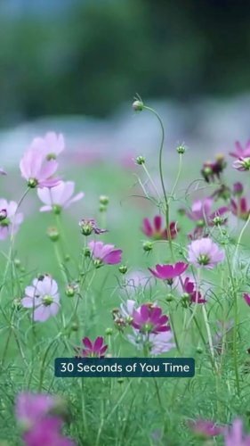 Video post from american_re_partners.