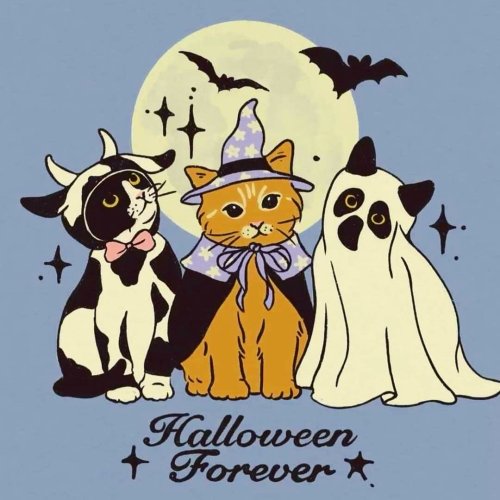 Photo post from margaritabloom.