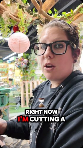 Video post from njexoticpets.