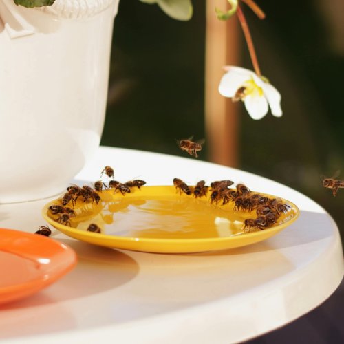 Carousel post from comvita_au.