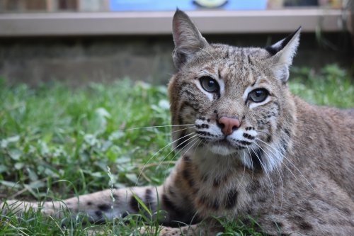 Carousel post from obermountain.