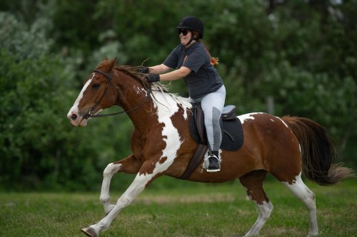 Photo post from sam.montgomery14.