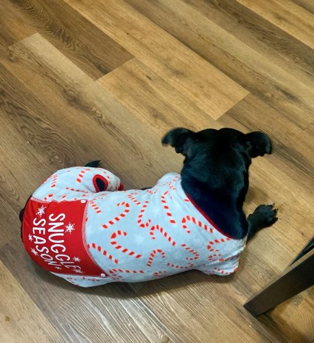 Photo post from lennoxflatscolumbus.