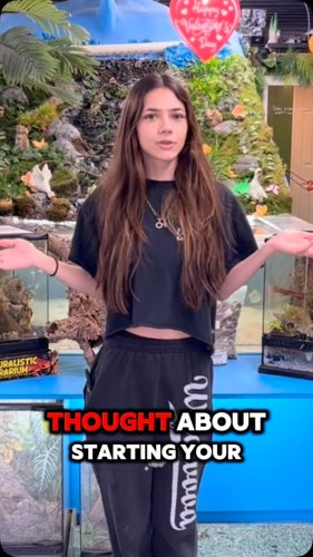 Video post from njexoticpets.