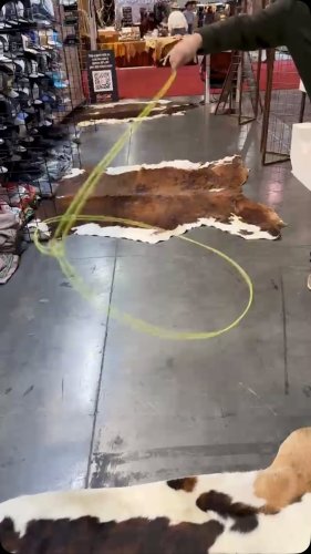 Video post from reddirthatco.