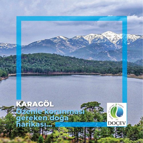 Photo post from dogavecevrevakfi.