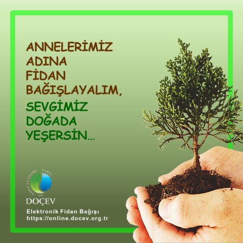 Photo post from dogavecevrevakfi.
