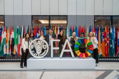 Carousel post from aurrome.