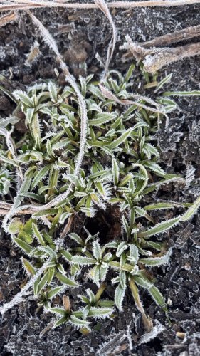 Video post from sussexprairies.