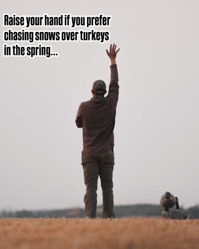 Photo post from northernskiesoutfitters.