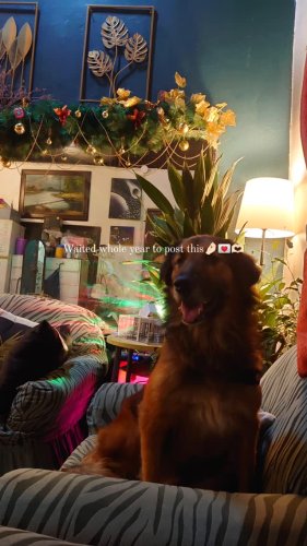 Video post from jakbobby.