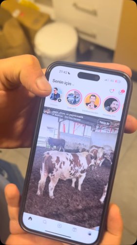 Video post from bombacizeydan.