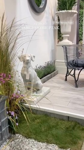 Video post from chronos_collection.
