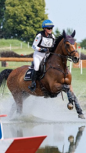 Video post from fei_global.