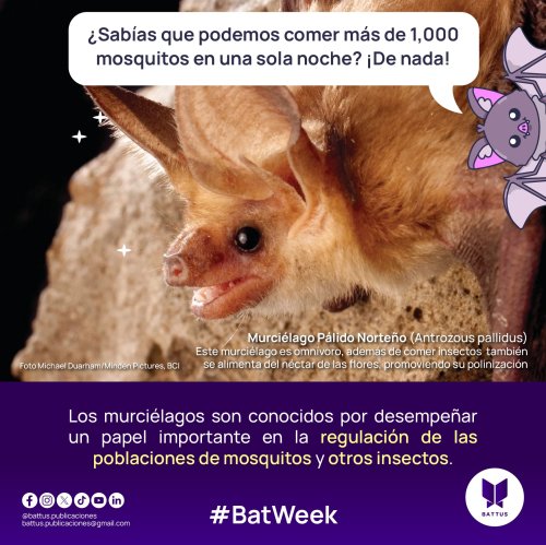 Photo post from battus.publicaciones.