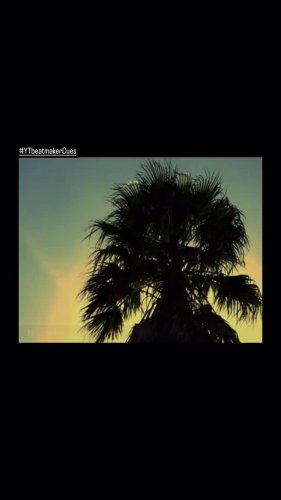Video post from owae.ga.