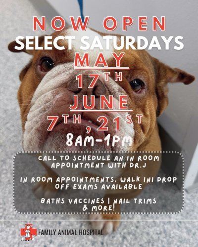 Photo post from familyanimalhospitalcm.