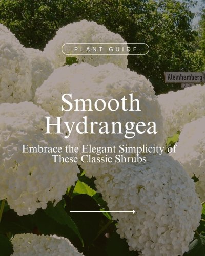 Carousel post from waysidegardens.