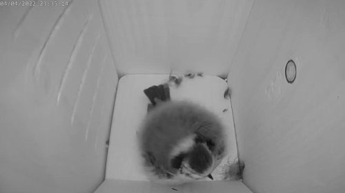 Video post from naturbutikken.dk.