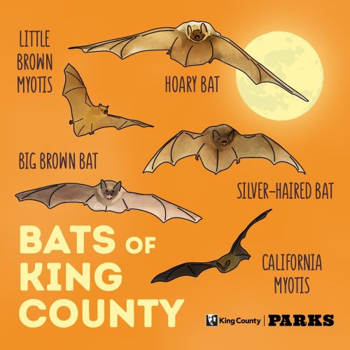 Photo post from kingcountyparks.