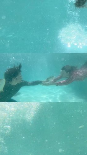 Video post from mellow.toad.