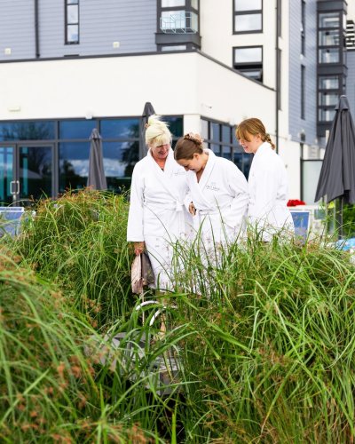 Carousel post from glasshouseretreat.