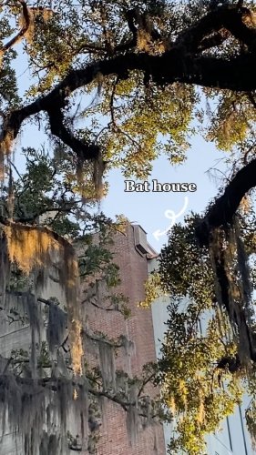 Video post from fsufacilities.