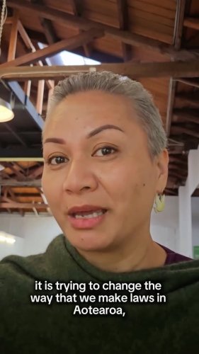 Video post from nzgreenparty.