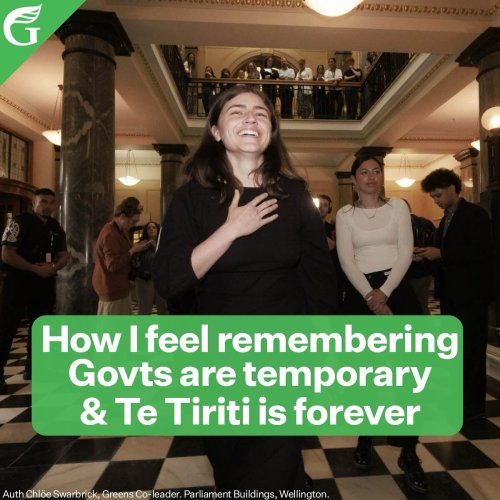 Photo post from nzgreenparty.