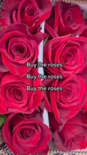 Video post from thefamilyflowers.