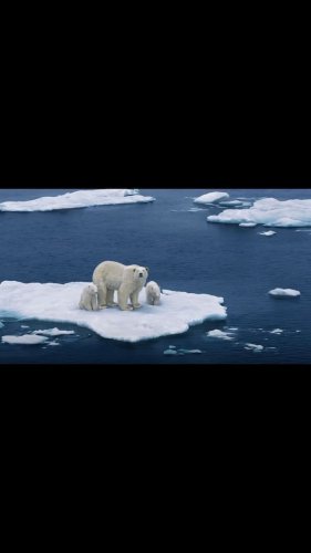 Video post from unops_official.