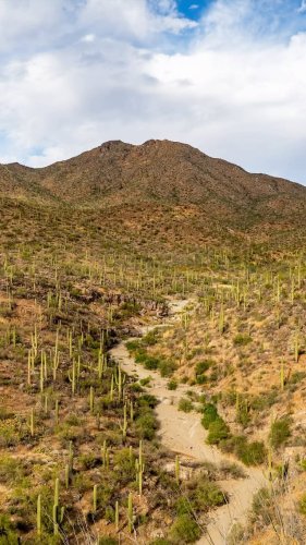 Video post from visittucson.